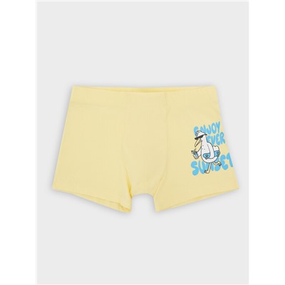 ТРУСЫ ДЛЯ МАЛЬЧИКОВ 413352