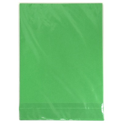 Бумага  А4  50л 70 г/м2 интенсив зеленый CPL50CIN-Gr LITE