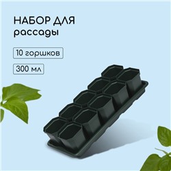 Набор для рассады: стаканы по 300 мл (10 шт.), поддон 41×17 см, цвет МИКС