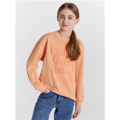 ЛОНГСЛИВ ДЛЯ ДЕВОЧЕК 127908/1