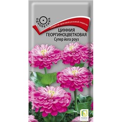 Цинния Супер йога роуз (Код: 72347)
