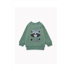 Толстовка футер начёс Енот 10903