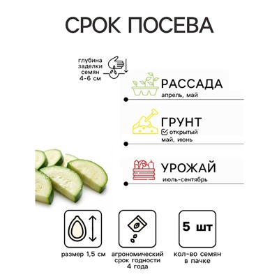 Семена Кабачок «Завтрак нефтяника», 5 шт., скороспелый, «Сибирский сад»