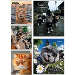 Тетрадь  48л клетка "КОТЫ-МЕМЫ" 5 диз. Т48-9122 Проф-Пресс