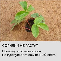 Кокосовое полотно для мульчирования, 3×1 м, «Мульчаграм»