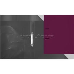 Папка на кольцах "Esthetics" A4 (240x310x35 мм) 2 кольца Ø 30 мм, полипропилен 800 мкм, фактура "soft-touch" на 250 листов бумаги или 50 вкладышей, внутренний карман 160 мкм, индивидуальная упаковка, непрозрачная бургунди