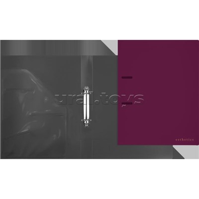 Папка на кольцах "Esthetics" A4 (240x310x35 мм) 2 кольца Ø 30 мм, полипропилен 800 мкм, фактура "soft-touch" на 250 листов бумаги или 50 вкладышей, внутренний карман 160 мкм, индивидуальная упаковка, непрозрачная бургунди