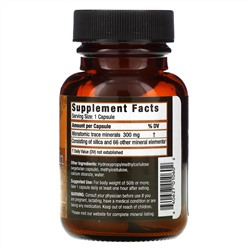 Harmonic Innerprizes, Etherium Gold, Focused Brain, 60 Vegetarian Capsules