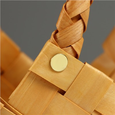 Корзина плетёная для хранения «Фляйт», секвойя, цвет натуральный, набор 2 шт.