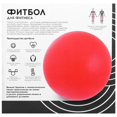 Фитбол ONLYTOP, d=65 см, 900 г, антивзрыв, серый