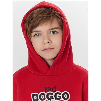 КОМПЛЕКТ ДЛЯ МАЛЬЧИКОВ (ХУДИ, БРЮКИ) 393313