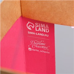 Пакет подарочный новогодний крафтовый с пластиковым окном «С Новым годом», 24×20×11 см