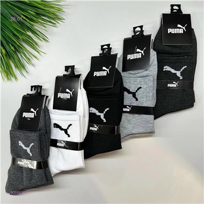 Носки мужские 10 пар 2056939-1