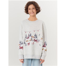 СВИТШОТ ДЛЯ МАЛЬЧИКОВ 123437/1