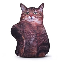 Кот Степан