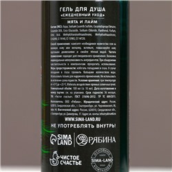 Новогодний подарочный набор косметики «Лучшему из лучших», гель для душа 100 мл и мочалка для тела, Чистое счастье