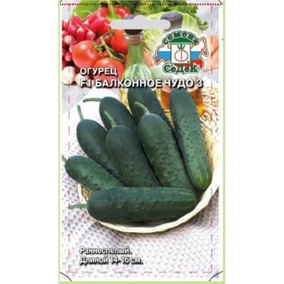 Огурец Балконное Чудо 3 Седек