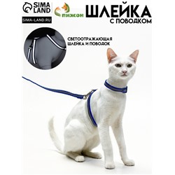Комплект для кошек, шлейка 21-35 см, ширина 1 см, поводок 120 см, светоотражающий, синий