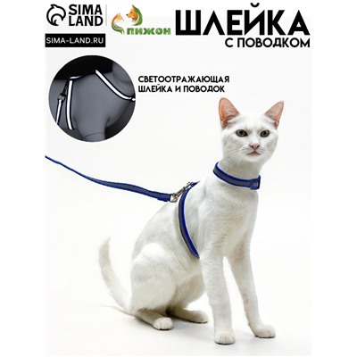 Комплект для кошек, шлейка 21-35 см, ширина 1 см, поводок 120 см, светоотражающий, синий