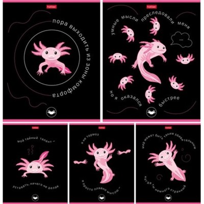 Тетрадь  48л клетка "Малыш-аксолотль" (088912) Хатбер