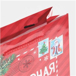 Пакет подарочный новогодний ламинированный «Полярная почта», ML 21×25×8 см