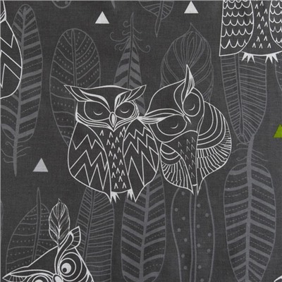 Постельное бельё 1.5-спальное «Этель. Ушастые совы (вид 1)», бязь