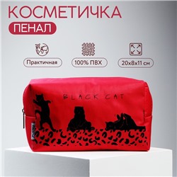 Косметичка Black Cat 17×10×5 см, на молнии