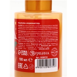 Подарочный набор новогодний в санях: гель для душа 2 шт., соль для ванны и мочалка, URAL LAB