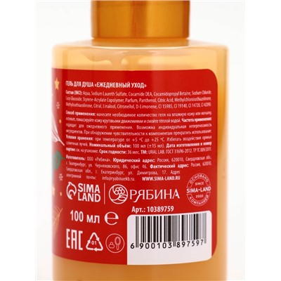 Подарочный набор новогодний в санях: гель для душа 2 шт., соль для ванны и мочалка, URAL LAB