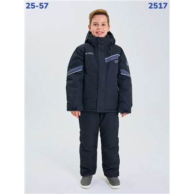 Костюм 2517 серый