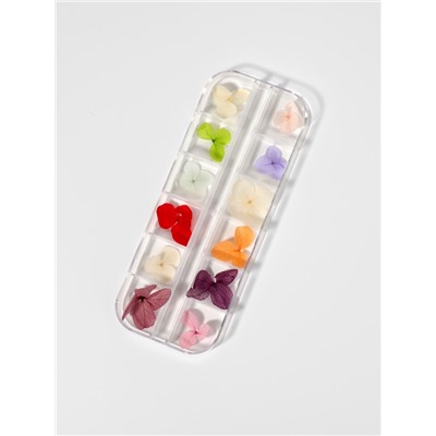 Сухоцветы для декора «Нежность», объёмные, 12 видов, в футляре, разноцветные