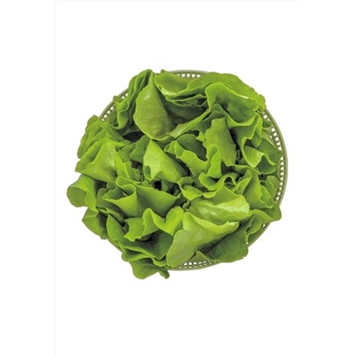 Мультифункциональный измельчитель 3 в 1