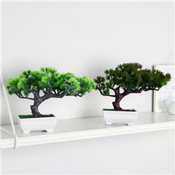 Бонсай искусственный в горшке «Хвойное дерево», 10.5×18 см, МИКС