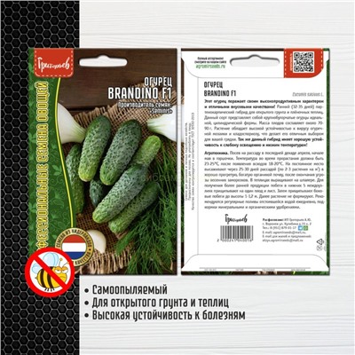 Огурец Брандино F1 - Brandino (Редкие)