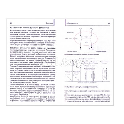 Карманный репетитор. Биология. Школьный курс
