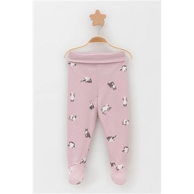 Ползунки 2п. CROCKID, 1238294