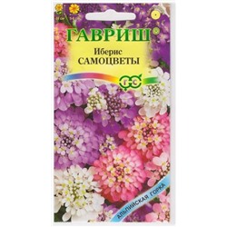 Иберис Самоцветы (Код: 12503)