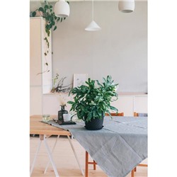 Горшок для цветов с поддоном «Ротанг», 4.7 л, d=15 см, h=14 см, пластиковый, коричневый