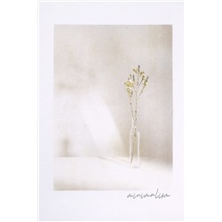 Футболка АПРЕЛЬ, 776793