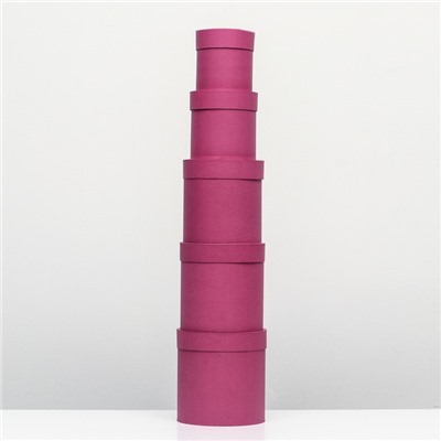 Набор шляпных подарочных коробок 5 в 1 «Фуксия однотонный»,20×20×20‒11×11×11 см