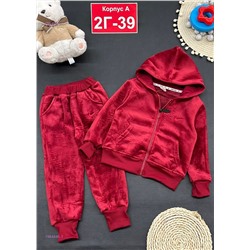 костюм с начесом 1984446-1