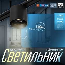 Светильник трековый BayerLux SLIM «Цилинр», LED, 12 Вт, 3000K-6000К, 48 В, CRI90, 8×8×7.5 см, чёрный