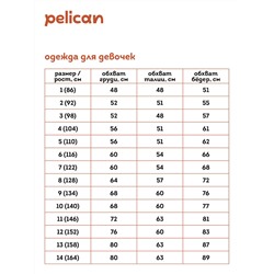 WFAJP3352U (Комплект для девочки, Pelican )