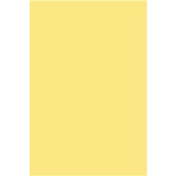 Бумага А4 10л 80гр. тонированная в массе Желтый С3036-02 КТС-ПРО