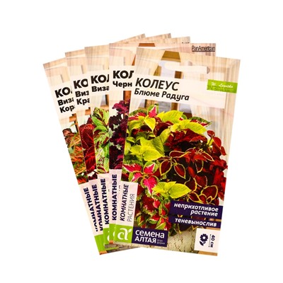 Набор семян цветов Колеус
