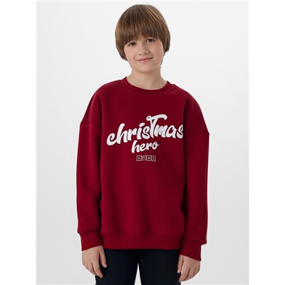 СВИТШОТ ДЛЯ МАЛЬЧИКОВ 123437/1