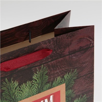 Пакет подарочный новогодний ламинированный «С Новым годом», ML 23×27×11.5 см