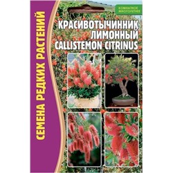 Красивотычинник Лимонный (Редкие)