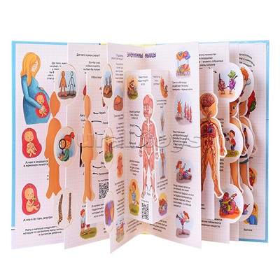 Энциклопедия 3Д "Секреты человека"