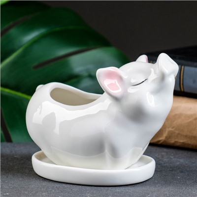 Декоративный горшок для цветов «Поросёнок», керамический, 150 мл, 12×6×10 см, с поддоном, белый, Greengo